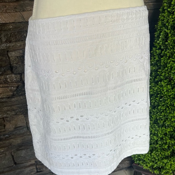 GAP Elegant White Eyelet A-Line Skirt - Picture 2 of 14